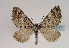  ( - TLMF Lep 02711)  @13 [ ] Copyright  TLMF 2011 Unspecified