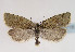 ( - TLMF Lep 02718)  @14 [ ] Copyright  TLMF 2011 Unspecified