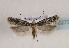  ( - TLMF Lep 02733)  @14 [ ] Copyright  TLMF 2013 Unspecified