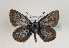  ( - TLMF Lep 02751)  @13 [ ] Copyright  TLMF 2031 Unspecified