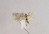  ( - TLMF Lep 02800)  @12 [ ] Copyright  TLMF 2080 Unspecified