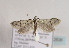  ( - TLMF Lep 02836)  @13 [ ] Copyright  TLMF 2116 Unspecified