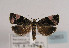  ( - TLMF Lep 02853)  @11 [ ] Copyright  TLMF 2011 Unspecified