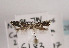  ( - TLMF Lep 02865)  @12 [ ] Copyright  TLMF 2011 Unspecified