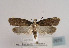  ( - TLMF Lep 02870)  @14 [ ] Copyright  TLMF 2011 Unspecified