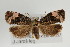  ( - TLMF Lep 02883)  @13 [ ] Copyright  TLMF 2011 Unspecified