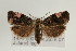  ( - TLMF Lep 02884)  @13 [ ] Copyright  TLMF 2011 Unspecified