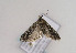  ( - TLMF Lep 02901)  @12 [ ] Copyright  TLMF 2011 Unspecified