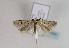  ( - TLMF Lep 02905)  @13 [ ] Copyright  TLMF 2011 Unspecified