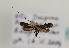  ( - TLMF Lep 05695)  @13 [ ] CreativeCommons - Attribution Non-Commercial Share-Alike (2011) Peter Huemer Tiroler Landesmuseum Ferdinandeum