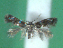  ( - KLM Lep 00618)  @13 [ ] CreativeCommons - Attribution Non-Commercial Share-Alike (2012) Christian Wieser Landesmuseum Kärnten