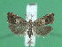  ( - KLM Lep 01280)  @14 [ ] CreativeCommons - Attribution Non-Commercial Share-Alike (2014) Christian Wieser Landesmuseum Kärnten