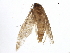 ( - BIOUG02171-C08)  @12 [ ] CreativeCommons - Attribution (2012) CBG Photography Group Centre for Biodiversity Genomics