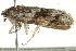  ( - BIOUG00829-C03)  @12 [ ] CreativeCommons - Attribution (2011) CBG Photography Group Centre for Biodiversity Genomics