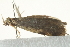  ( - BIOUG00829-H07)  @12 [ ] CreativeCommons - Attribution (2011) CBG Photography Group Centre for Biodiversity Genomics