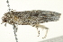  ( - BIOUG00831-D03)  @12 [ ] CreativeCommons - Attribution (2011) CBG Photography Group Centre for Biodiversity Genomics