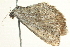  ( - BIOUG00831-D05)  @12 [ ] CreativeCommons - Attribution (2011) CBG Photography Group Centre for Biodiversity Genomics