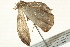  ( - BIOUG00831-G02)  @12 [ ] CreativeCommons - Attribution (2011) CBG Photography Group Centre for Biodiversity Genomics