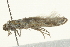  ( - BIOUG00831-H04)  @12 [ ] CreativeCommons - Attribution (2011) CBG Photography Group Centre for Biodiversity Genomics