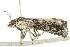  ( - BIOUG00843-D10)  @12 [ ] CreativeCommons - Attribution (2011) CBG Photography Group Centre for Biodiversity Genomics