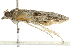  ( - BIOUG00843-G01)  @12 [ ] CreativeCommons - Attribution (2011) CBG Photography Group Centre for Biodiversity Genomics