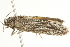  ( - BIOUG00844-A03)  @13 [ ] CreativeCommons - Attribution (2011) CBG Photography Group Centre for Biodiversity Genomics