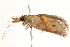  ( - BIOUG00844-A07)  @13 [ ] CreativeCommons - Attribution (2011) CBG Photography Group Centre for Biodiversity Genomics