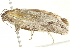  ( - BIOUG00844-C08)  @12 [ ] CreativeCommons - Attribution (2011) CBG Photography Group Centre for Biodiversity Genomics