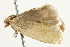  ( - BIOUG00790-E10)  @13 [ ] CreativeCommons - Attribution (2011) CBG Photography Group Centre for Biodiversity Genomics