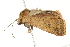  ( - BIOUG00791-E08)  @13 [ ] CreativeCommons - Attribution (2011) CBG Photography Group Centre for Biodiversity Genomics