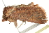  ( - BIOUG00791-E11)  @13 [ ] CreativeCommons - Attribution (2011) CBG Photography Group Centre for Biodiversity Genomics