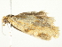  ( - BIOUG00792-C03)  @13 [ ] CreativeCommons - Attribution (2011) CBG Photography Group Centre for Biodiversity Genomics