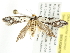  ( - BIOUG00787-A11)  @13 [ ] CreativeCommons - Attribution (2011) CBG Photography Group Centre for Biodiversity Genomics