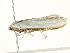  ( - BIOUG00787-B09)  @12 [ ] CreativeCommons - Attribution (2011) CBG Photography Group Centre for Biodiversity Genomics