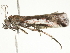 ( - BIOUG00788-F03)  @12 [ ] CreativeCommons - Attribution (2011) CBG Photography Group Centre for Biodiversity Genomics