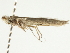  ( - BIOUG00788-H03)  @13 [ ] CreativeCommons - Attribution (2011) CBG Photography Group Centre for Biodiversity Genomics