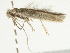  ( - BIOUG00788-H04)  @13 [ ] CreativeCommons - Attribution (2011) CBG Photography Group Centre for Biodiversity Genomics