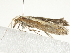  ( - BIOUG00788-H07)  @13 [ ] CreativeCommons - Attribution (2011) CBG Photography Group Centre for Biodiversity Genomics
