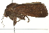  ( - BIOUG00799-C12)  @13 [ ] CreativeCommons - Attribution (2011) CBG Photography Group Centre for Biodiversity Genomics
