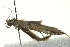 ( - BIOUG00799-H09)  @12 [ ] CreativeCommons - Attribution (2011) CBG Photography Group Centre for Biodiversity Genomics