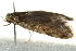  ( - BIOUG00799-H10)  @12 [ ] CreativeCommons - Attribution (2011) CBG Photography Group Centre for Biodiversity Genomics