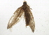  ( - BIOUG01949-F04)  @12 [ ] CreativeCommons - Attribution (2012) CBG Photography Group Centre for Biodiversity Genomics