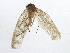  ( - BIOUG01949-H01)  @12 [ ] CreativeCommons - Attribution (2012) CBG Photography Group Centre for Biodiversity Genomics