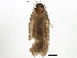  ( - BIOUG02151-B10)  @12 [ ] CreativeCommons - Attribution (2012) CBG Photography Group Centre for Biodiversity Genomics