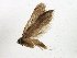  ( - BIOUG02151-C02)  @12 [ ] CreativeCommons - Attribution (2012) CBG Photography Group Centre for Biodiversity Genomics