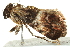  ( - BIOUG01254-C04)  @12 [ ] CreativeCommons - Attribution (2011) CBG Photography Group Centre for Biodiversity Genomics