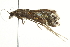  ( - BIOUG01254-E12)  @12 [ ] CreativeCommons - Attribution (2011) CBG Photography Group Centre for Biodiversity Genomics