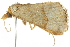  ( - BIOUG01172-C03)  @14 [ ] CreativeCommons - Attribution (2011) CBG Photography Group Centre for Biodiversity Genomics