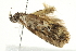  ( - BIOUG01172-G10)  @13 [ ] CreativeCommons - Attribution (2011) CBG Photography Group Centre for Biodiversity Genomics