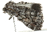  ( - BIOUG01198-D12)  @12 [ ] CreativeCommons - Attribution (2011) CBG Photography Group Centre for Biodiversity Genomics